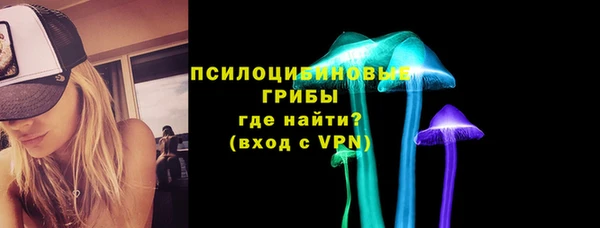 стафф Абинск