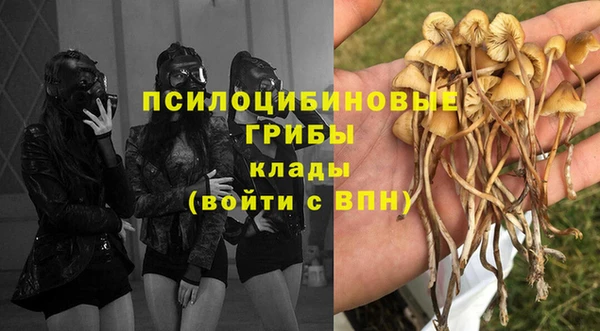 стафф Абинск