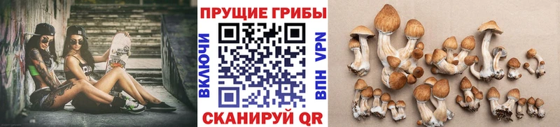 где найти   Елизаветинская  Псилоцибиновые грибы MAGIC MUSHROOMS 